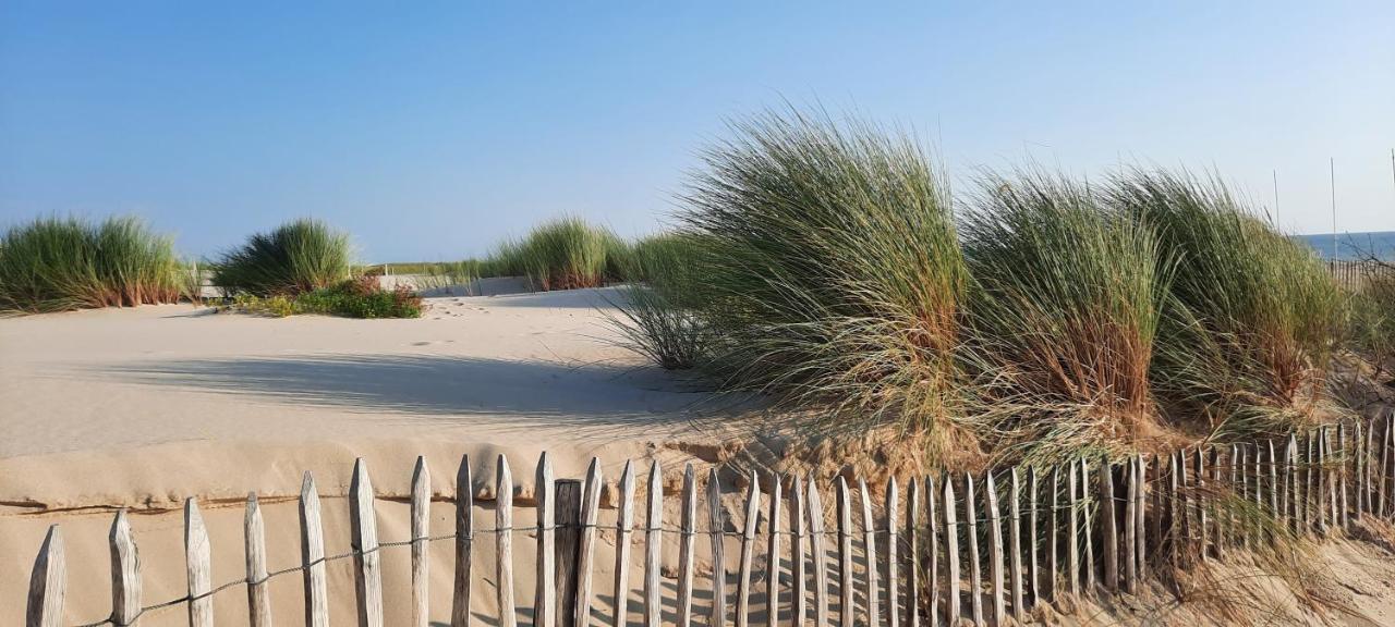 Maison Sur Le Bassin D'Arcachon La Teste-de-Buch Luaran gambar